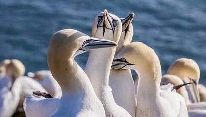 开云体育在线-拜仁封神夜！数据铁幕锁死姆巴佩，欧冠登顶的终极密码