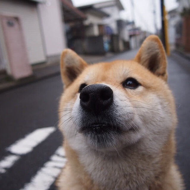 新疆队硬仗取胜魔术，切特里程碑之夜铸就篮球传奇